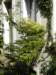 p1010532_small.jpg